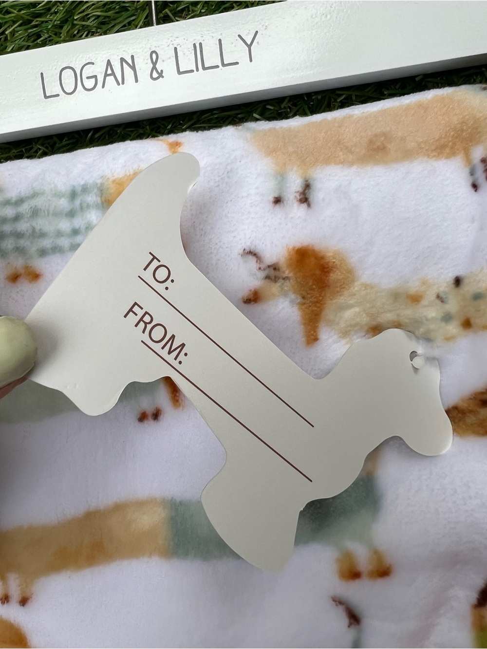 Dachshund Baby Blanket & Plushie Set - Picture 3 of 4